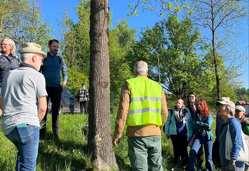 Menschen vor einem Baumstamm