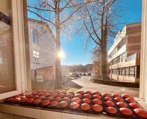Muffins trocknen am Fenster